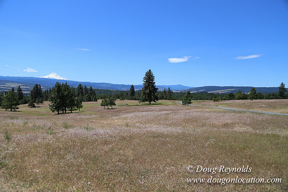 Brothers Ranch-8417