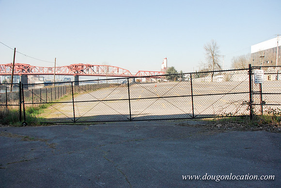 Thunderbird Lot-0787