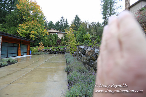 Kathy's House-0418