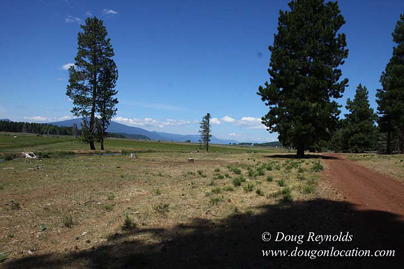 Ranch 18 South side of Hwy  has 2500 Acres of green fields Creeks water crossing Bridges on a Large Lake and miles of Dirt roads Oak trees  Forest land ATV Trails cows
