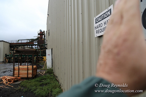 Saw Mill and Lumber Yard