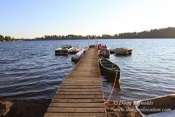 Boat, Cabin, Dock, Home, "House lake", WA, Washington, Yard, deck, "green. Beach"