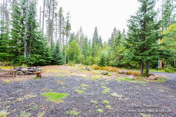 Waynes Cabin