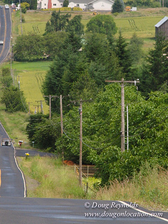 Laurel Hill Road 48510