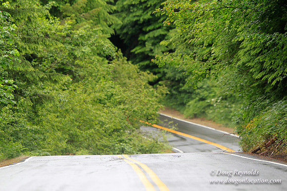 Brower Rd