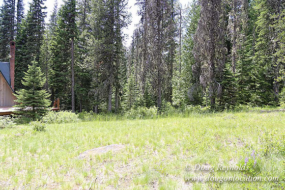 Jerry's Cabin-6660