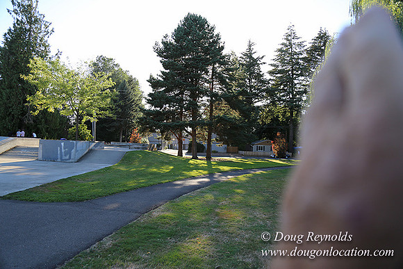 Lincoln Park-0611
