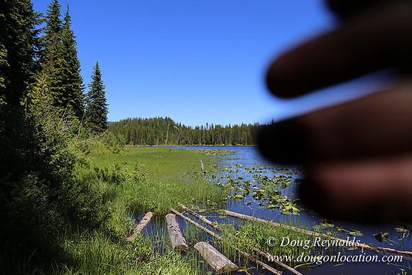 Trillium Lake-32003676