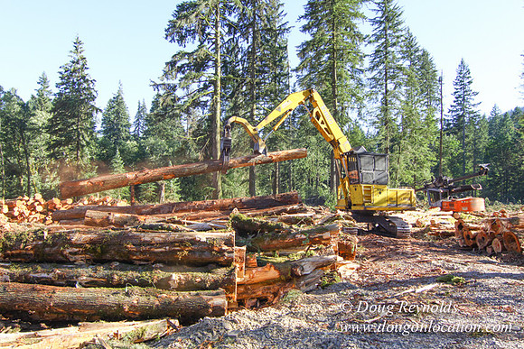 Craig Logging-3182