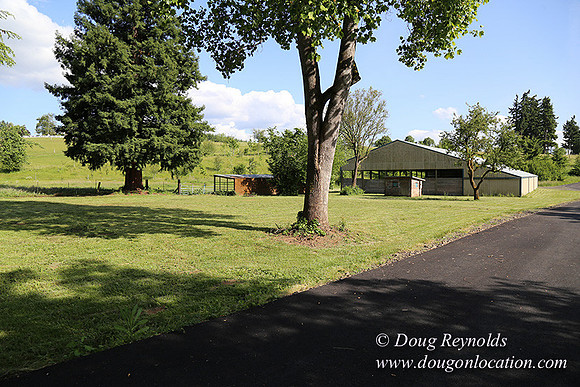 Helvetia rd at Mikes-5976