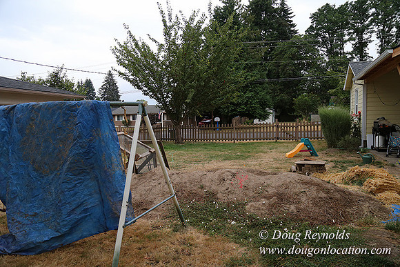 Nathan's Backyard-1737