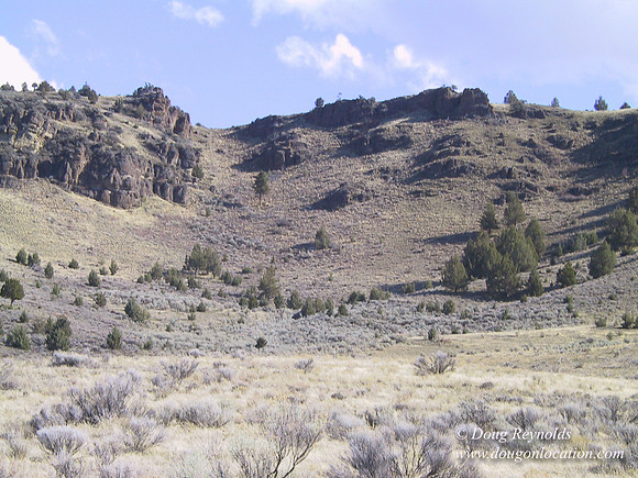 Ranch 7