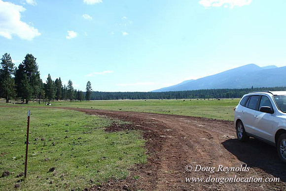 Ranch 18 South side of Hwy  has 2500 Acres of green fields Creeks water crossing Bridges on a Large Lake and miles of Dirt roads Oak trees  Forest land ATV Trails cows
