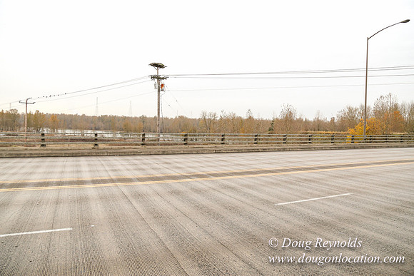 Marine Dr Overpass-5269