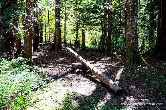 Karri's Cabin
