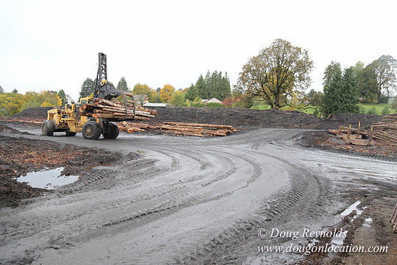Saw Mill and Lumber Yard