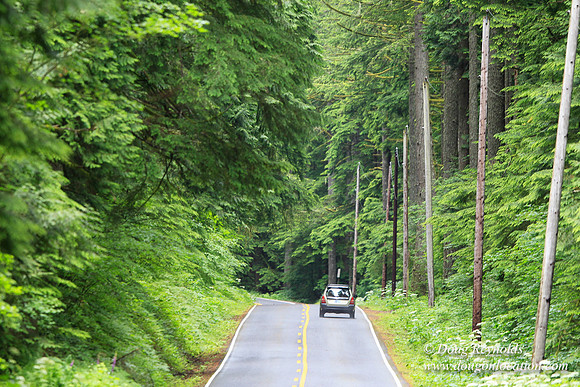 Larch Mt Rd