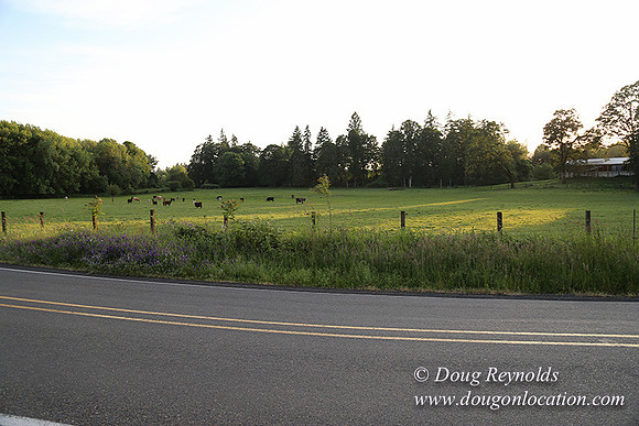 Mountaindale Rd-6420