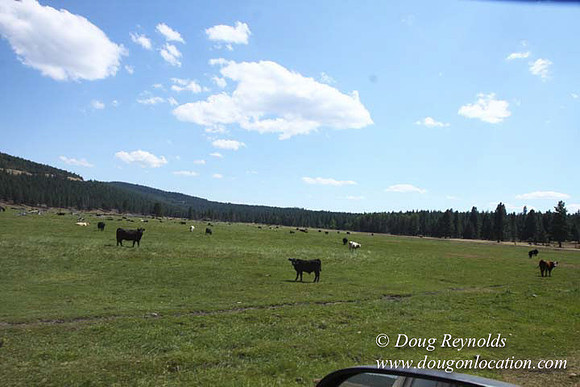 Ranch 18 South side of Hwy  has 2500 Acres of green fields Creeks water crossing Bridges on a Large Lake and miles of Dirt roads Oak trees  Forest land ATV Trails cows
