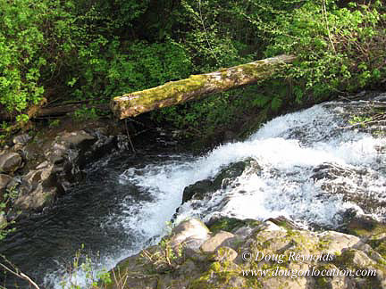 Cedar Camp Falls Bridge