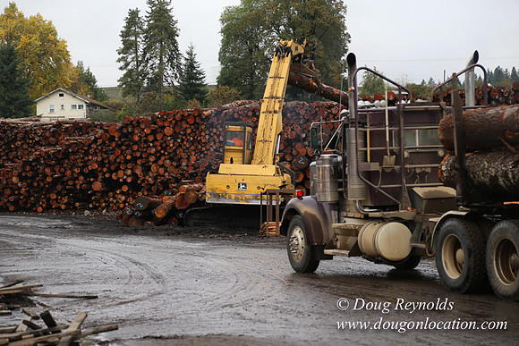Saw Mill and Lumber Yard