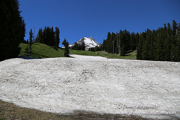 Medow's Snow-5779