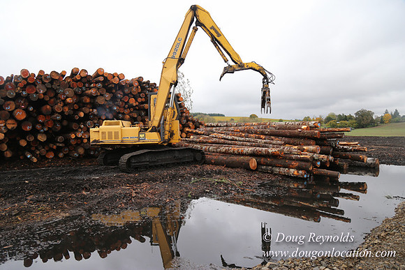 Saw Mill and Lumber Yard