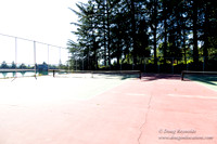 Tabor T Courts West