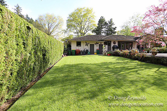 Mid Century Traditional Style Home, With a Basement, 2 car garage average sized Back Yard with Patio