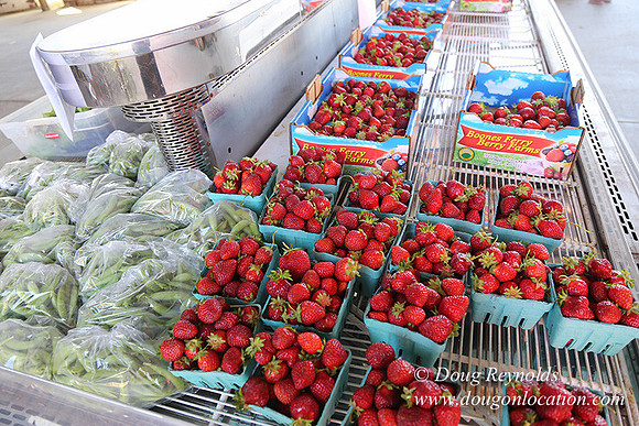 Vahan's Farm & Market-5178