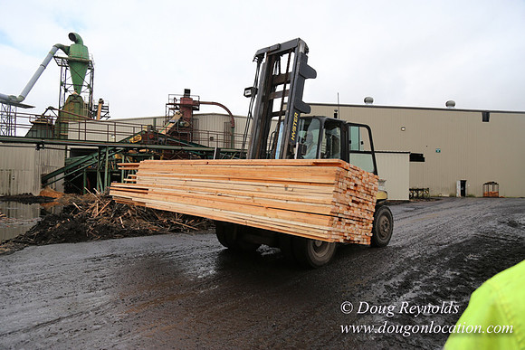 Saw Mill and Lumber Yard