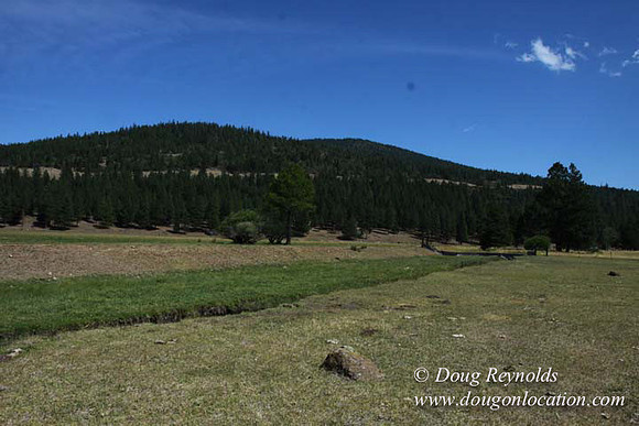 Ranch 18 South side of Hwy  has 2500 Acres of green fields Creeks water crossing Bridges on a Large Lake and miles of Dirt roads Oak trees  Forest land ATV Trails cows