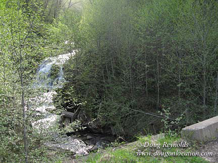Cedar Camp Falls Bridge