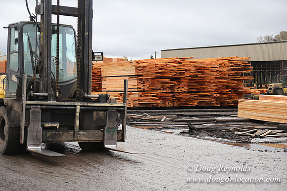 Saw Mill and Lumber Yard
