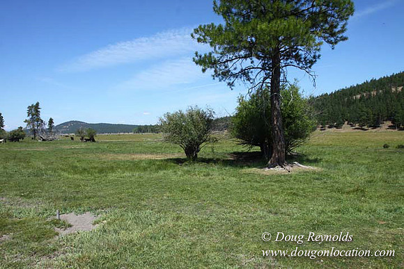 Ranch 18 South side of Hwy  has 2500 Acres of green fields Creeks water crossing Bridges on a Large Lake and miles of Dirt roads Oak trees  Forest land ATV Trails cows