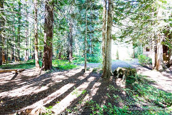 Karri's Cabin