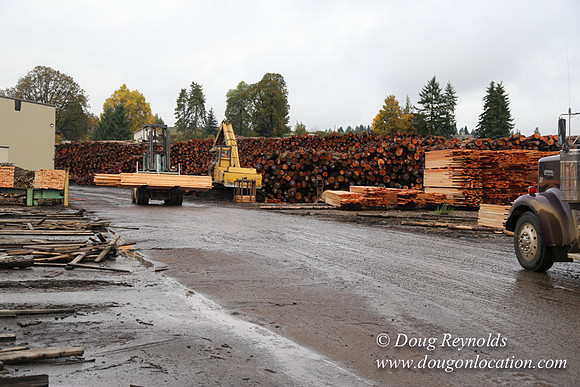 Saw Mill and Lumber Yard