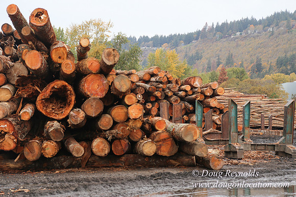 SDS Lumber-1372