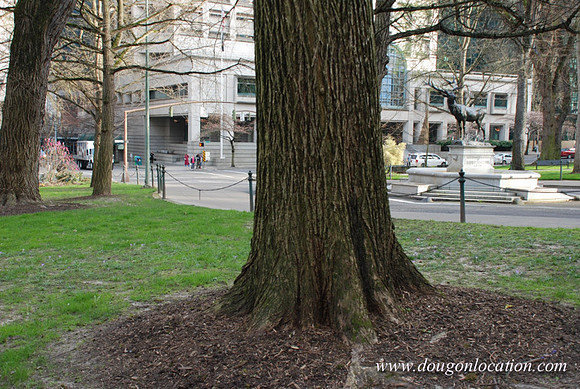 Lownsdale Square-0433