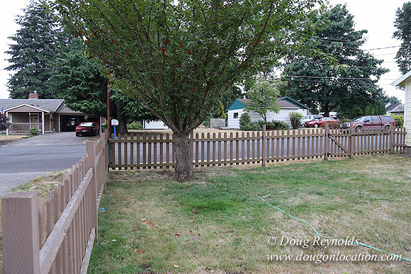 Nathan's Backyard-1720