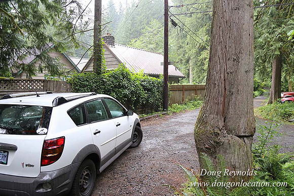 Small, Cabin, Home, River, OR, Oregon, Green, Yard,