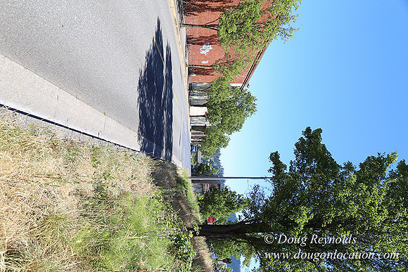 2nd St Hood River-7905