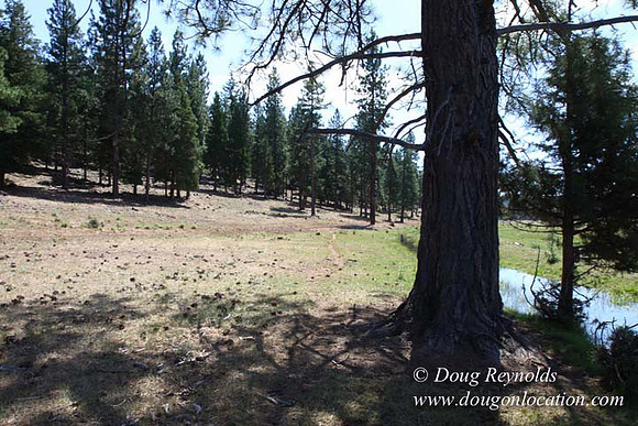 Ranch 18 South side of Hwy  has 2500 Acres of green fields Creeks water crossing Bridges on a Large Lake and miles of Dirt roads Oak trees  Forest land ATV Trails cows