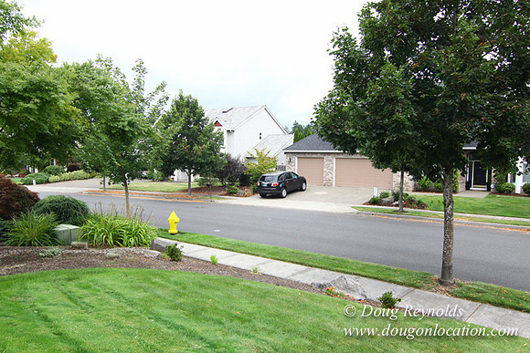 Miller Home-9020