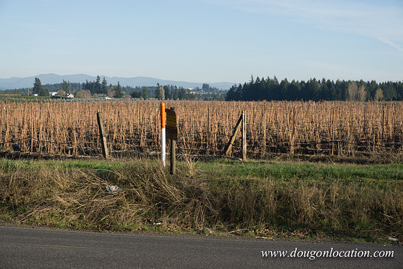 Kelso Rd W Driving E-3976
