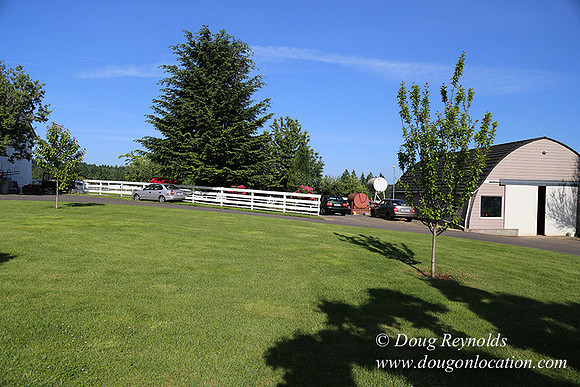"2 Barns", "2 car garage", "40+ Acres", "PDX Zone", Pool, "White Fence", cows, "farm House", "rap around dive", "well maintained"