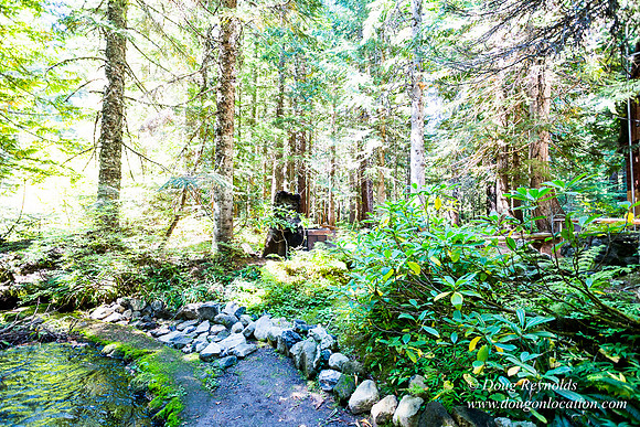Karri's Cabin