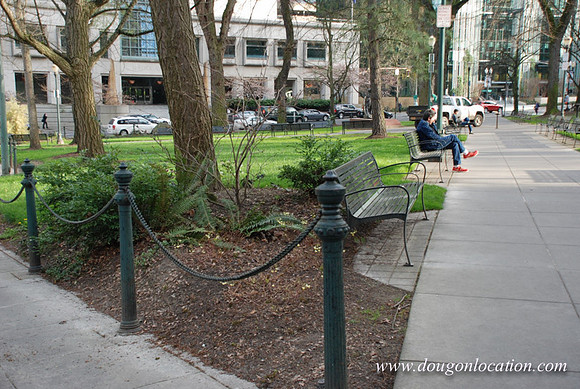 Chapman Square-0467