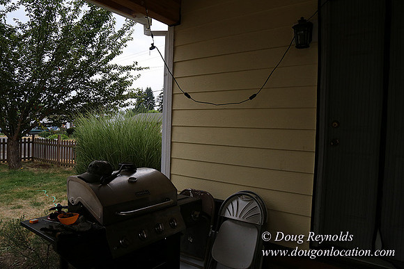 Nathan's Backyard-1718