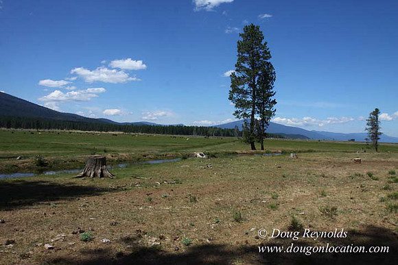 Ranch 18 South side of Hwy  has 2500 Acres of green fields Creeks water crossing Bridges on a Large Lake and miles of Dirt roads Oak trees  Forest land ATV Trails cows